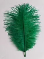 Ostrich Feather Plume